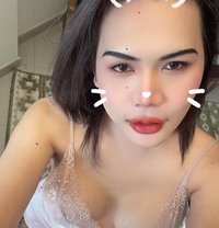 VIP# both Tawan - Transsexual escort in Muscat Photo 1 of 7