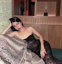 Sofia - escort in Bangkok