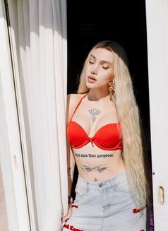 VIP DANLA - puta in İstanbul Photo 4 of 15