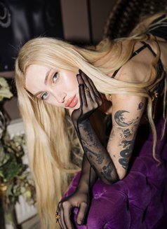 VIP DANLA - puta in İstanbul Photo 10 of 15