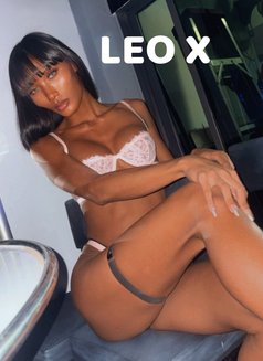 Vip Escort Premium Star - Agencia de acompañantes transexuales in Pattaya Photo 1 of 11