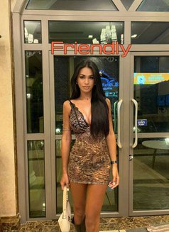 Vip Escort Premium Star - Agencia de acompañantes transexuales in Pattaya Photo 5 of 11