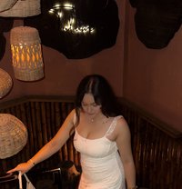 Vip Escort Service - escort in Kochi