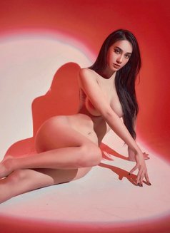 Vip+ πΈπ¦ - Transsexual escort in Jeddah Photo 14 of 14