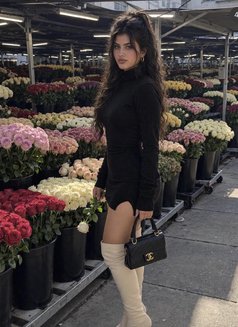 Vip Escorts Chandigarh - escort in Chandigarh Photo 1 of 3