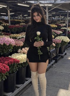 Vip Escorts Chandigarh - escort in Chandigarh Photo 2 of 3