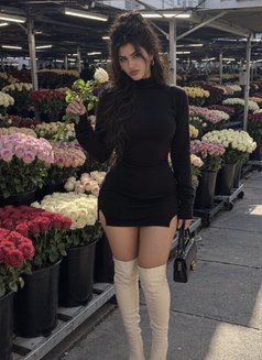 Vip Escorts Chandigarh - escort in Chandigarh Photo 3 of 3