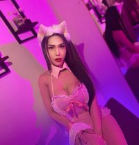 🇹🇭JEDA VIP Good service🇹🇭 - Acompañantes transexual in Muscat