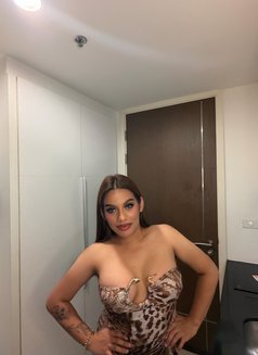 VIP HARDFUCK GANGBANG PARTY🧊(CUMSHOW) - Transsexual dominatrix in Bangkok Photo 8 of 29