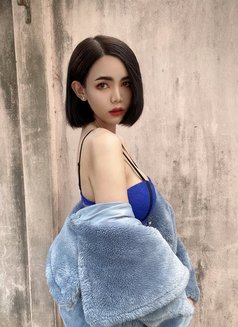 VIP in Chiang Mai now - Transsexual escort in Chiang Mai Photo 10 of 18