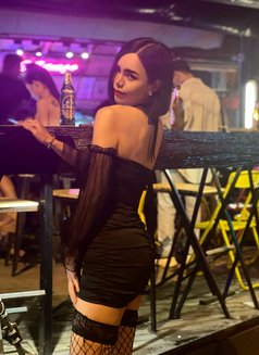VIP in Chiang Mai now - Transsexual escort in Chiang Mai Photo 15 of 18