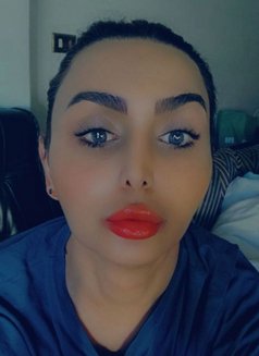 LèBoy_XL - Transsexual escort in Beirut Photo 20 of 21