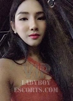 VIP Ladyboy Escorts - Agencia de acompañantes transexuales in Bangkok Photo 5 of 12