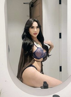 Vip Ladyboy Thailand - Transsexual escort in Riyadh Photo 12 of 17