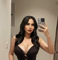 Vip Ladyboy Thailand - Transsexual escort in Riyadh Photo 13 of 14
