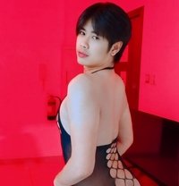 VIP Massage & Sex Thailand - Transsexual escort in Khobar