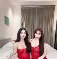 VIP Massage🇹🇭🇸🇦 - Transsexual escort in Khobar