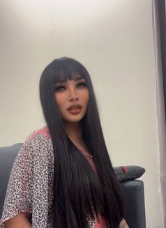 VIP Massage🇹🇭🇸🇦 - Transsexual escort in Khobar Photo 11 of 11