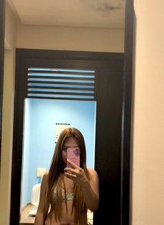 Vip massage youngJem versa both - Acompañantes transexual in Abu Dhabi Photo 20 of 20