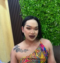 🇶🇦Vip# Mickey Both - Transsexual escort in Doha