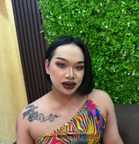 🇶🇦Vip# Mickey Both - Transsexual escort in Doha