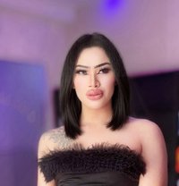 🇶🇦Vip# Mickey Both - Transsexual escort in Doha