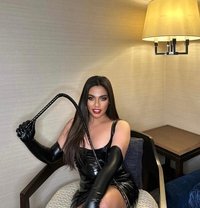 VIP MISTRESS GANGBANG PARTY,lmted time - Transsexual dominatrix in Bangkok