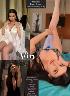 Vip Modeling - escort agency in Dubai Photo 18 of 19