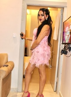 شيميل Vip - Transsexual escort in Riyadh Photo 4 of 9