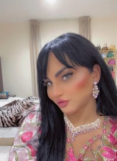 شيميل Vip - Transsexual escort in Riyadh Photo 7 of 9