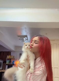 VIP Ms.Red (Camshow, Contents or Meet) - Transsexual escort in Manila Photo 7 of 9