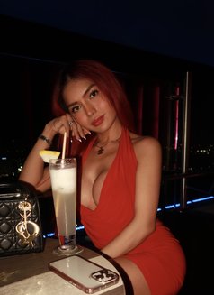 VIP Ms.Red (Camshow, Contents or Meet) - Transsexual escort in Manila Photo 8 of 9