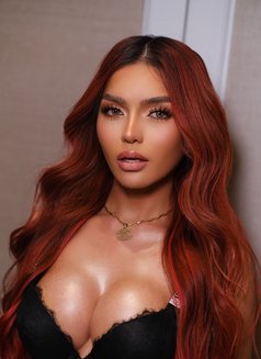 VIP Ms.Red (Camshow, Contents or Meet) - Transsexual escort in Manila Photo 9 of 9