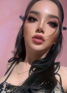 Vip+ New Service - Transsexual escort in Jeddah Photo 2 of 10