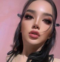 Vip+ New Service - Transsexual escort in Jeddah