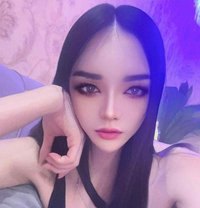 Vip+ New Service - Transsexual escort in Jeddah