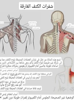 🥳VIP(No sex,) Professional Massa,boshar - escort in Muscat Photo 5 of 12