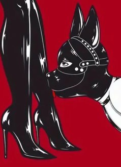 Vip Online Queen Arabica Onlyfans Model - escort in Al Manama Photo 15 of 16