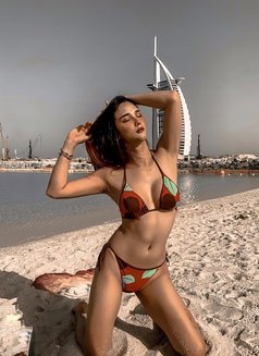 Vip Pornstar Shemale - Transsexual escort in Dubai Photo 11 of 13
