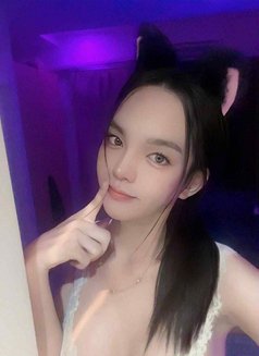 Vip+ Service - Acompañantes transexual in Jeddah Photo 6 of 8