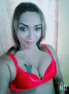 VIP Shemale Melina - Intérprete transexual de adultos in Colombo Photo 2 of 7