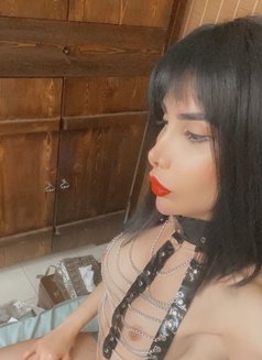 VIP shemale (shahed) - Transsexual escort in Cairo Photo 4 of 25