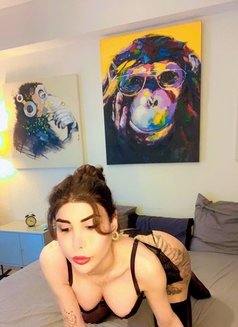 VIP shemale (shahed) - Transsexual escort in Nice Photo 13 of 14