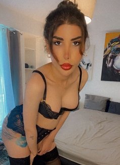 VIP shemale (shahed) - Transsexual escort in Nice Photo 14 of 14