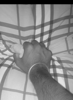 VIP Spark Your Life Services - Acompañantes masculino in Colombo Photo 2 of 3