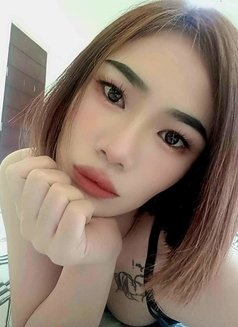 #Am LADY🇶🇦🇹🇭 - Transsexual escort in Doha Photo 2 of 3