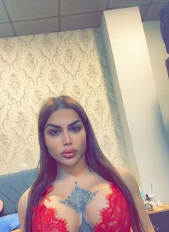 امتلك اكبر قضيب زيارة ا VIP ملكة - Transsexual escort in Erbil Photo 8 of 10