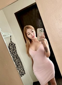 VIP TOP LADYBOY CAMSHOW / MEETINGS - Acompañantes transexual in Bangkok Photo 16 of 16