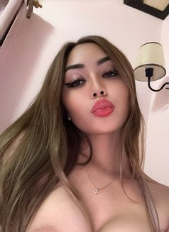 VIP TOP LADYBOY CAMSHOW / MEETINGS - Transsexual escort in Bangkok Photo 12 of 22