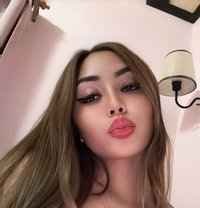 VIP TOP LADYBOY CAMSHOW / MEETINGS - Transsexual escort in Bangkok